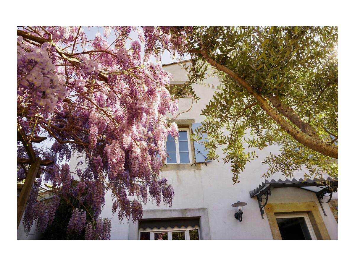 La Bastide Saint Etienne Villa Cournanel Dış mekan fotoğraf